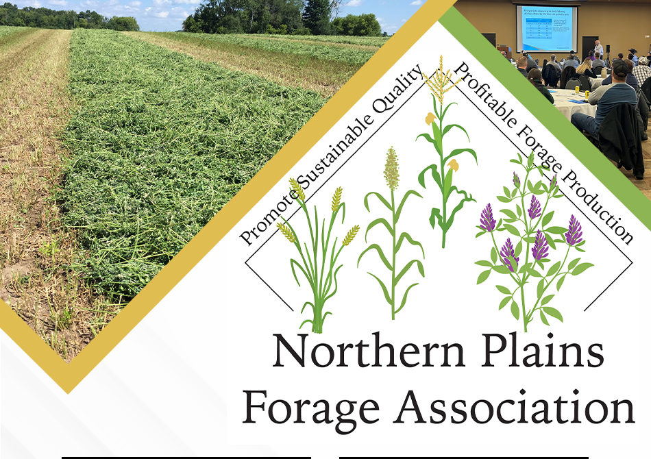 Northern Plains Forage Association